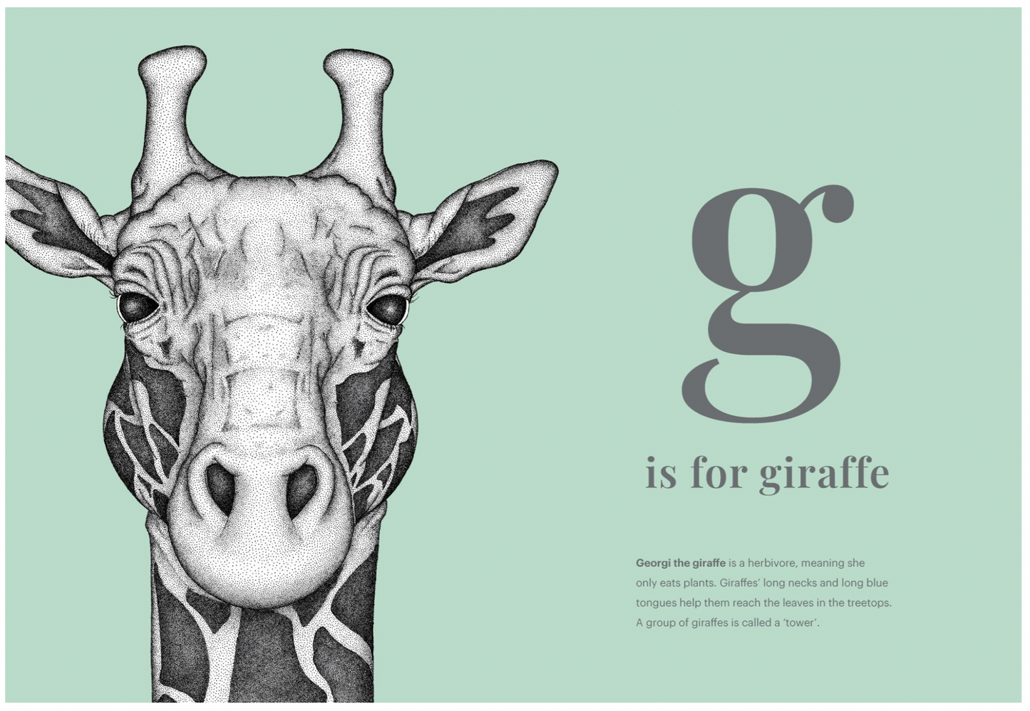 The Animal Alphabet