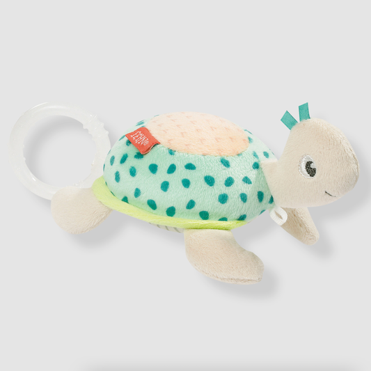 Mini Musical Turtle