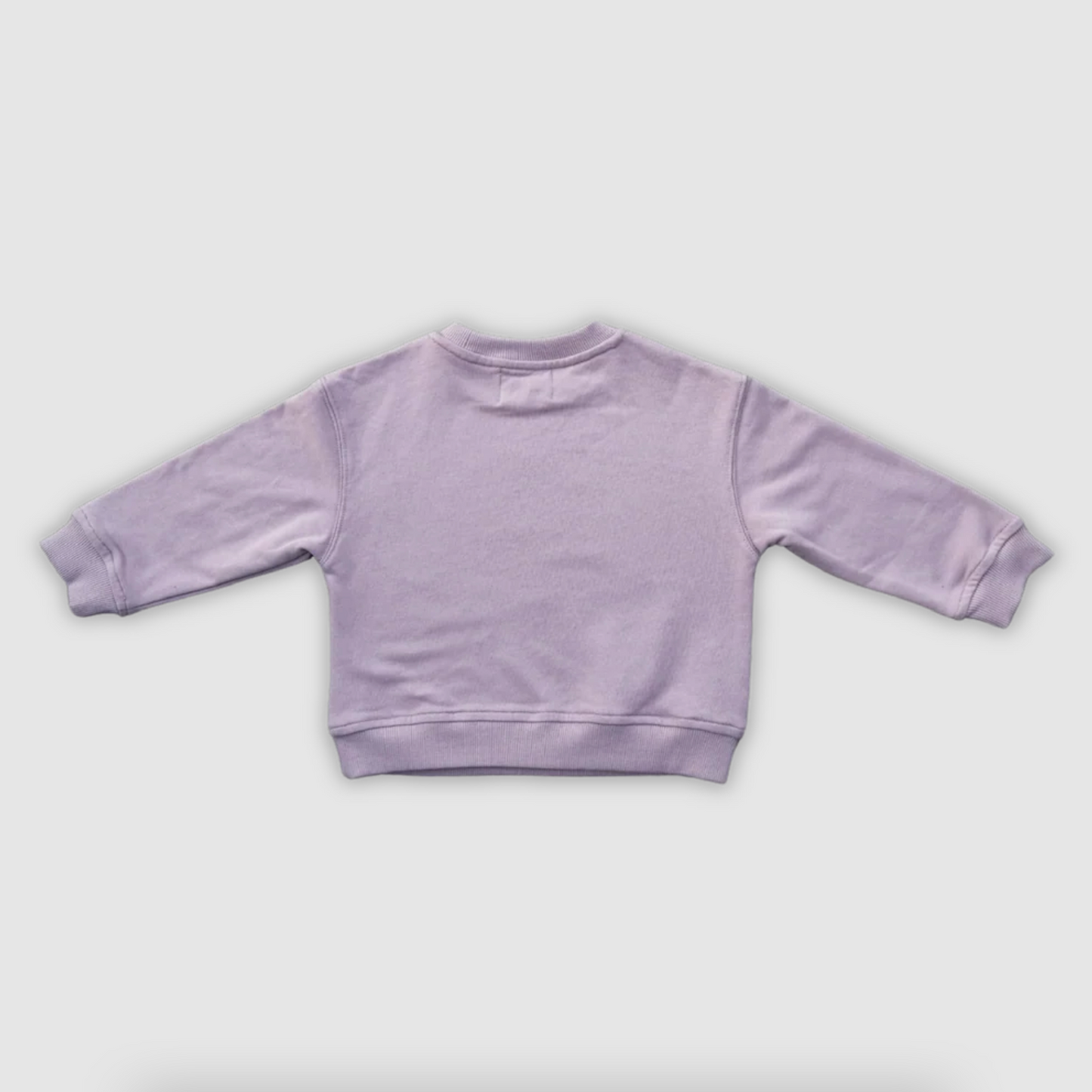 Parrot Fish Jumper, Grape