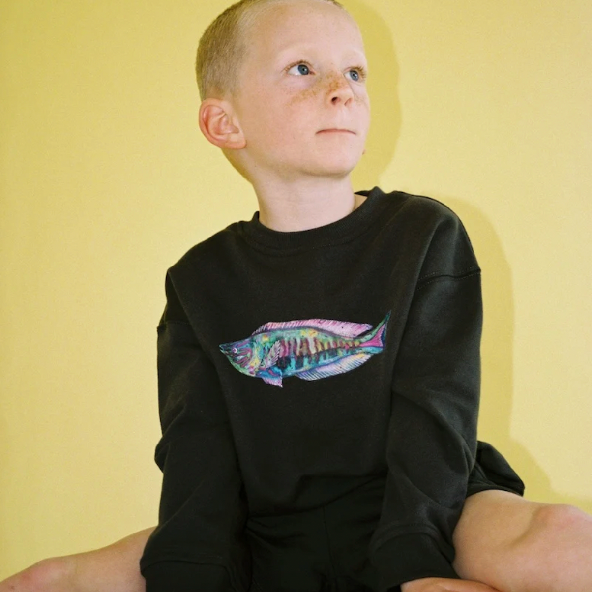 Parrot Fish Jumper, Ash