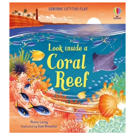 Look Inside a Coral Reef