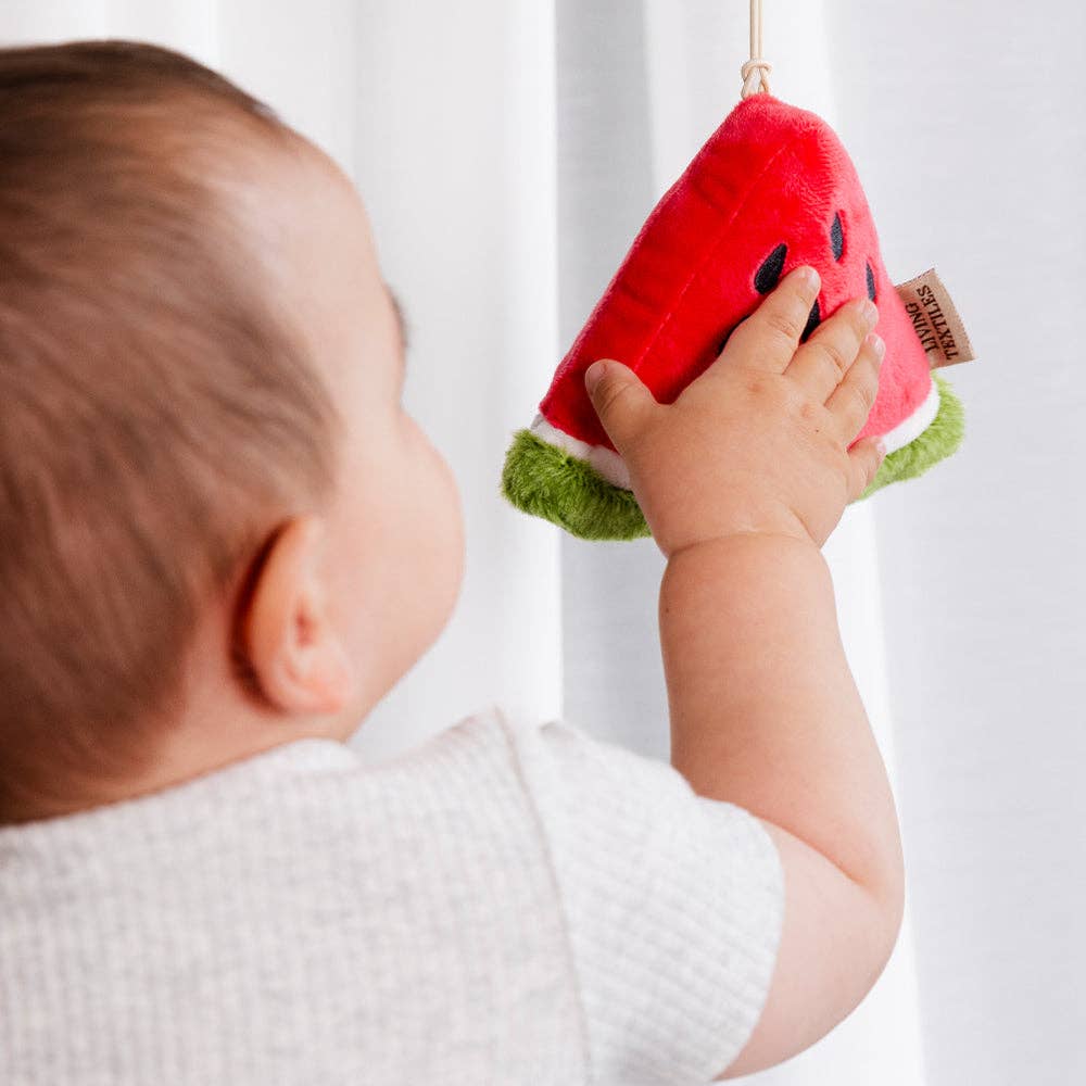 Watermelon & Blueberry Stroller Toys