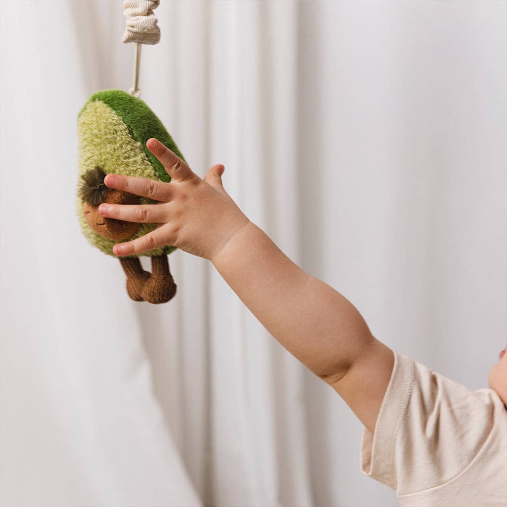 Avocado & Egg on Toast Stroller Toys
