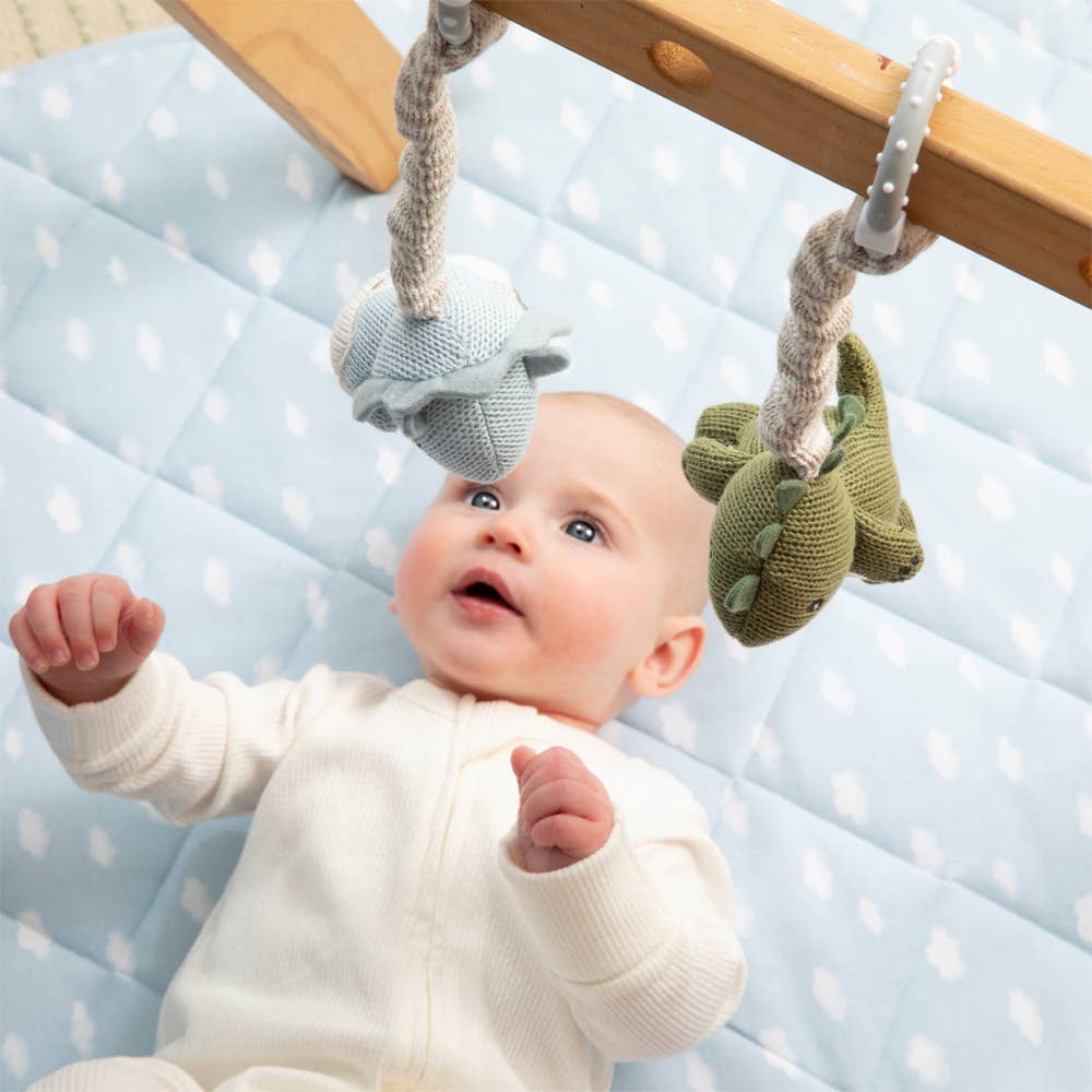 Dinosaurs Stroller Toys