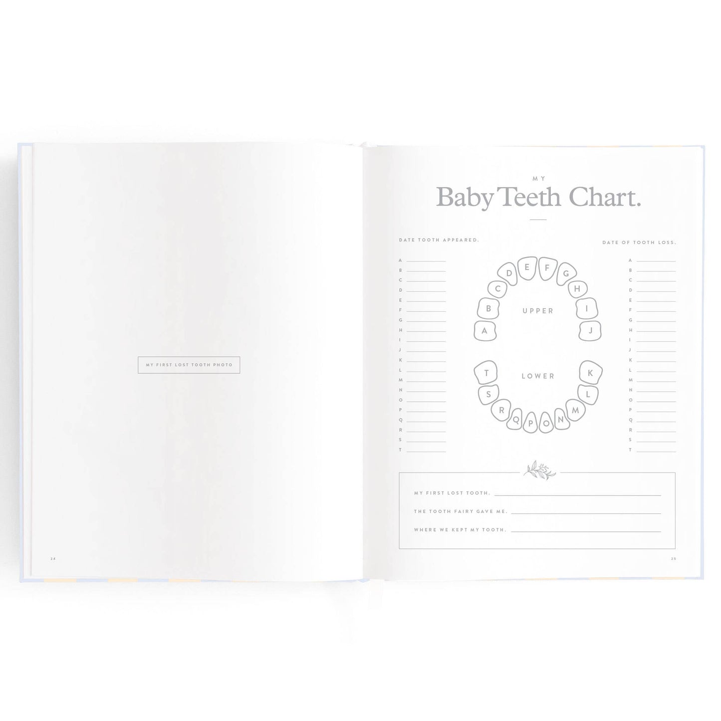 Baby Book, Cloud Stripe