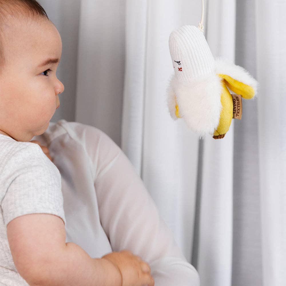 Apple & Banana Stroller Toys