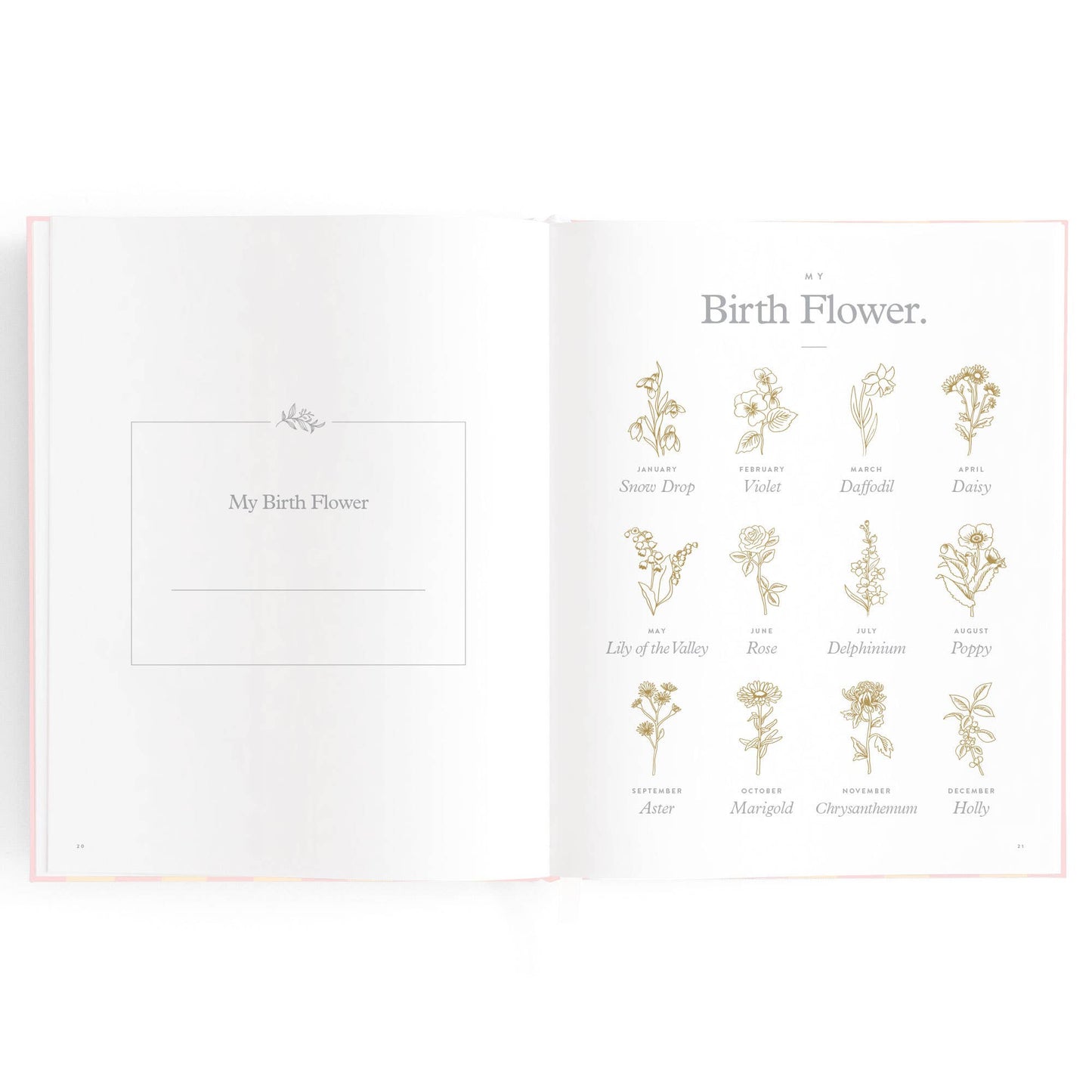 Baby Book, Petal Stripe