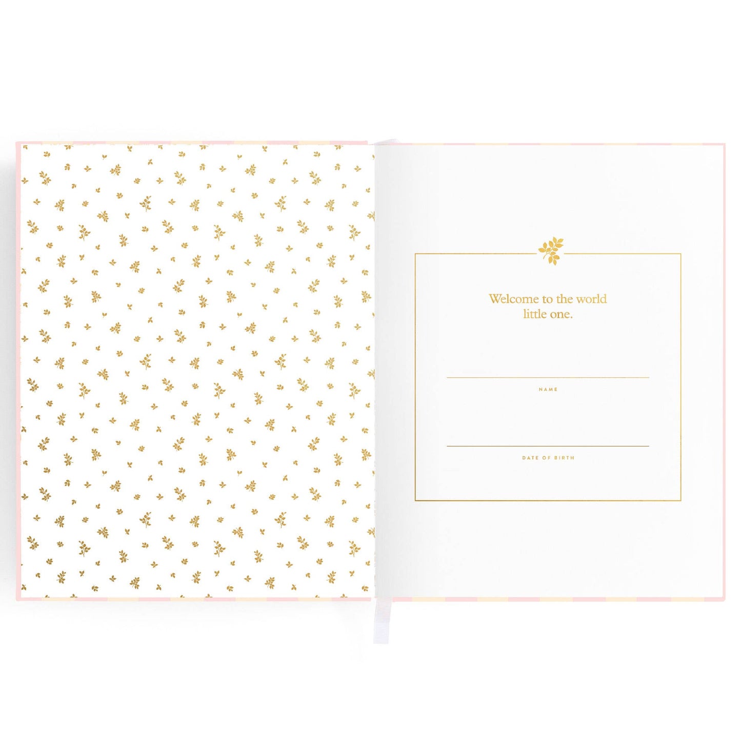 Baby Book, Petal Stripe