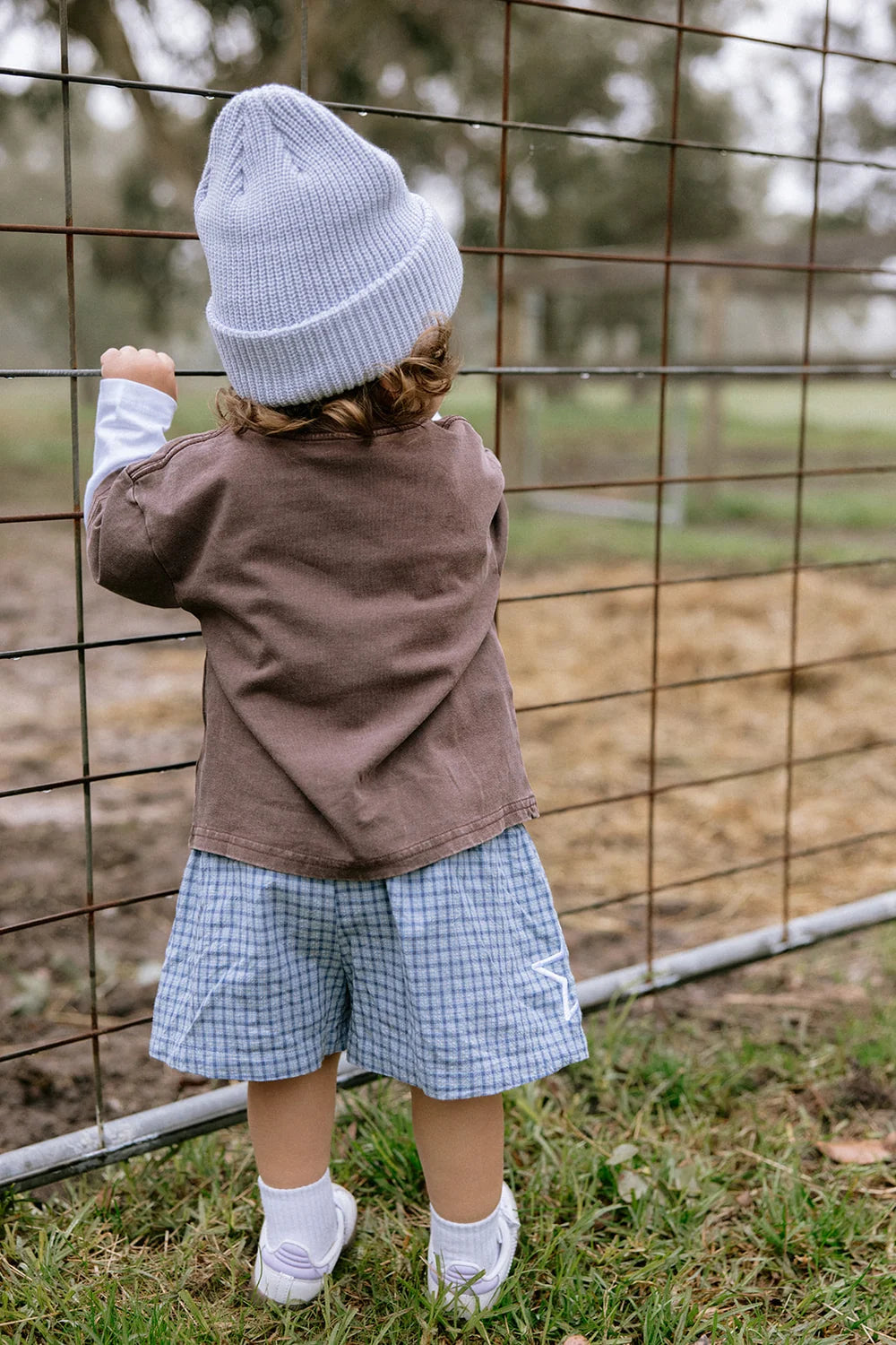 Nash Shorts, Blue