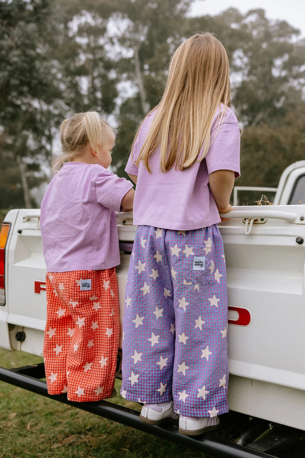 Dusty Star Pants, Purple Gingham