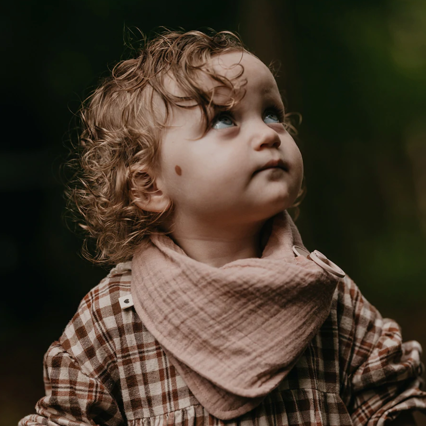 Bandana Bib, Blush