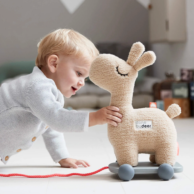 Lalee Pull Along 2-in-1 Toy