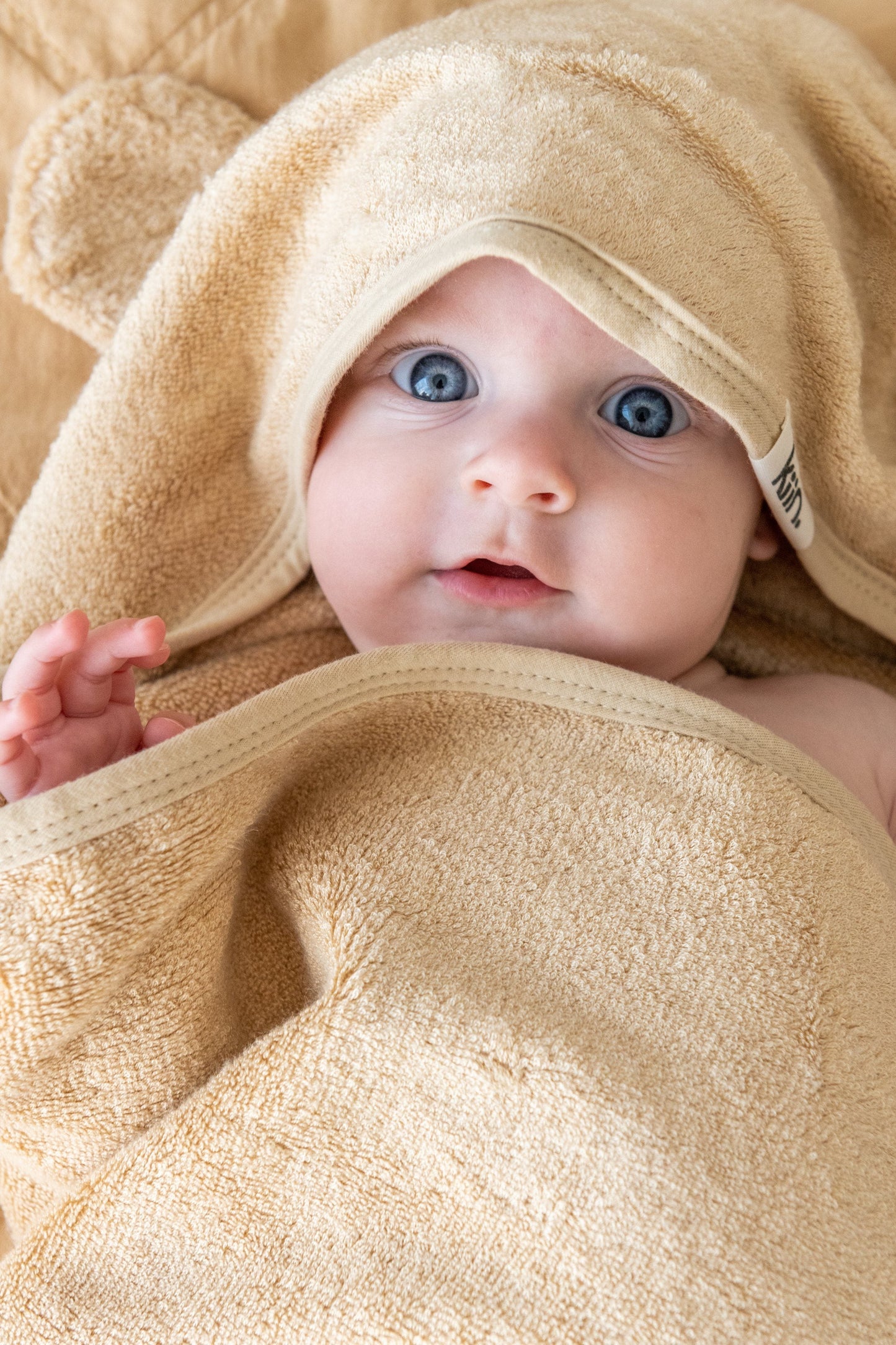 Hooded Towel, Oat